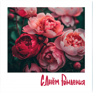 К588-Photoroom