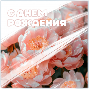 К584-Photoroom