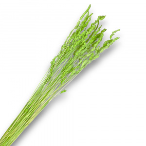 8955
