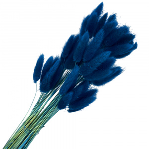 13562