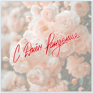 К605-Photoroom