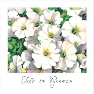 К103-Photoroom