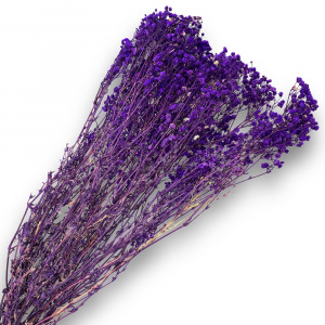 6908