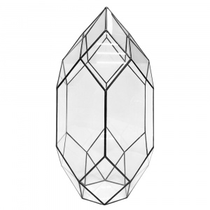 11918