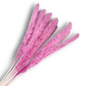 9106