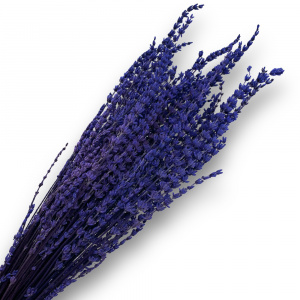 14851