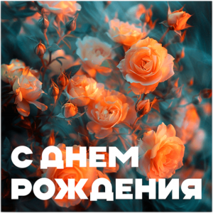 К582-Photoroom