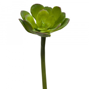 11634