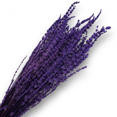 6893