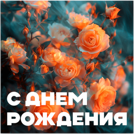 К582-Photoroom
