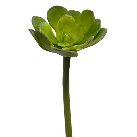 11634