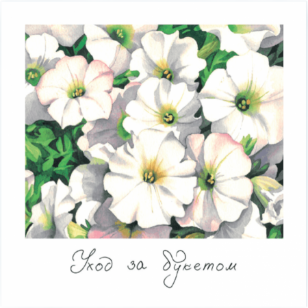 К103-Photoroom